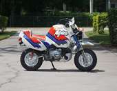 Υπέροχος "Μπόμπος" της Honda πουλήθηκε πάνω από 15.000 ευρώ