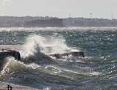 Θεσσαλονίκη: Συνολικά 44 κοπές δέντρων λόγω ισχυρών ανέμων