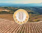 ΟΠΕΚΕΠΕ: Δέσμευση λογαριασμών ενός ακόμα αγροτοσυνδικαλιστή για παράνομες επιδοτήσεις