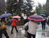 Θεσσαλονίκη: Πτώσεις δέντρων και ζημιές σε ΙΧ από την κακοκαιρία