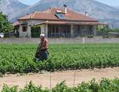 Με υπερκάλυψη 102,1% των πόρων και πληρωμές 7,99 δισ. ευρώ ολοκληρώθηκε το Πρόγραμμα Αγροτικής Ανάπτυξης 2014-2022