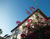 Στα αζήτητα τα χειμερινά εξοχικά - Σε άνοδο τα θερινά