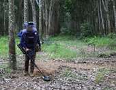 Σε υψηλό τετραετίας οι θάνατοι και οι τραυματισμοί από νάρκες το 2024