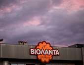 Βιολάντα: Διευκρινίσεις για τη σύλληψη του ιδιοκτήτη και των δύο στελεχών