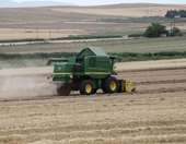 Νέα μείωση 5,5% των τιμών εκροών σε γεωργία – κτηνοτροφία τον Οκτώβριο