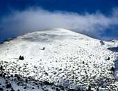 Δράμα: Απεγκλωβίστηκαν δεκάδες επισκέπτες του χιονοδρομικού κέντρου Φαλακρού που παγιδεύτηκαν λόγω έντονης χιονόπτωσης