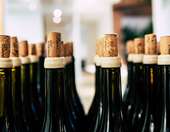 Ο κόσμος του κρασιού και της τέχνης στο Athens Wine & Art Festival