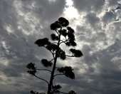 Βελτιωμένος ο καιρός ανήμερα Χριστούγεννα: Οι περιοχές που θα βρέξει - Ερχεται ψυχρή εισβολή από την Παρασκευή