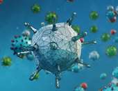 Καθησυχαστικός ο Δ. Παρασκευής για τον μεταπνευμονοϊό - Γιατί είναι δύσκολο να μεταλλαχθεί