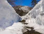 Ρωσία: Ρεκόρ τριακονταετίας με χιόνια στα 4 μέτρα στην Καμτσάτκα - Θάφτηκε κάτω από τα χιόνια η τοπική πρωτεύουσα