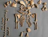 Επιστήμονες βρήκαν γενετική υπογραφή του συνδρόμου Down σε αρχαία οστά