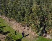 Η ProspecTree Επαναπροσδιορίζει την Πράσινη Ιδιοκτησία στην Ψηφιακή Εποχή