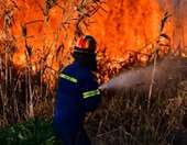 Χωρίς ενεργό μέτωπο η φωτιά στη Βόλβη Θεσσαλονίκης