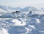 Politico: Πώς ο Τραμπ μπορεί να κατακτήσει τη Γροιλανδία σε τέσσερα απλά βήματα