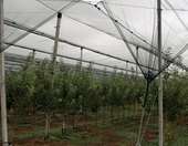 ΕΛΓΑ: Πληρωμές 35,1 εκατ. ευρώ για καταστροφές σε φυτικό κεφάλαιο από τον Daniel και Elias και από πυρκαγιές σε Έβρο, Καβάλα και Φθιώτιδα