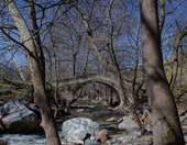 Σιντική: Τα "ζωντανά μνημεία της Μακεδονίας" με τα ιστορικά λιθόκτιστα γεφύρια του Κρουσοβίτη