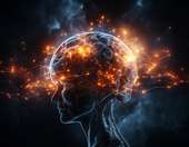 Ερευνητές του Χάρβαρντ και της Google δημιούργησαν τη μεγαλύτερη τρισδιάστατη ανακατασκευή τμήματος εγκεφάλου