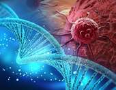 Ντ. Ψαλτοπούλου: Αύξηση περιστατικών καρκίνου σε νέες ηλικίες ειδικά στο γαστρεντερικό