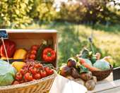 Τι σημαίνει η συμφωνία ΕΕ- Mercosur για τα ελληνικά αγροδιατροφικά προϊόντα