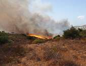 Θεσσαλονίκη: Σε εξέλιξη πυρκαγιά σε δασική έκταση στο Εξαμίλι Λαγκαδά – Επιχειρούν επίγειες και εναέριες δυνάμεις