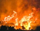 Εγκύκλιος του υπ. Υγείας με οδηγίες για τις περιοχές που επλήγησαν από τις πυρκαγιές