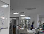 Τσιμπούρια και αιμορραγικός πυρετός: Πότε αυξάνεται ο κίνδυνος μόλυνσης