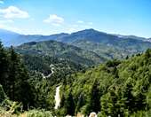 Ελεγκτικό Συνέδριο: "Πραγματοποιούνται πολύ λιγότερες αναδασώσεις από εκείνες που είχε προγραμματιστεί να γίνουν"