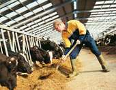 Νέα ενισχυμένη στήριξη των κτηνοτρόφων με 50% αύξηση της αποζημίωσης για ζωοτροφές