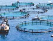 Στη DG Comp ο φάκελος των Νηρέα – Σελόντα