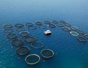 Οι κινήσεις των παλαιών μετόχων στον Νηρέα και τα ερωτήματα