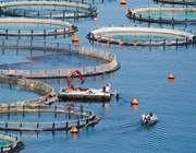 "Κλείδωσε" ο προτιμητέος επενδυτής για Νηρέα και Σελόντα