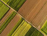 "Βαρίδια" για τον δείκτη αγροτικών προϊόντων δολάριο και Κίνα