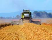 Η διαφαινόμενη επιβράδυνση της Κίνας &quot;φρέναρε&quot; τον δείκτη αγροτικών προϊόντων