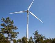 Τέρνα Ενεργειακή: Τη διανομή μερίσματος 0,17 ευρώ ενέκρινε η ΓΣ