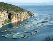 Σελόντα: Εύλογη η σχέση ανταλλαγής για την απορρόφηση τριών εταιρειών