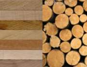 Interwood: Στο 4,59% κατήλθε το ποσοστό δικαιωμάτων ψήφου του Γεώργιου Γεράρδη