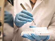 Οι επιπτώσεις των μικροπλαστικών στον οργανισμό μας