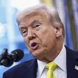 Είναι μικρά, κίτρινα και στρογγυλά και μας δείχνουν γιατί δεν λειτουργούν οι δασμοί του Τραμπ