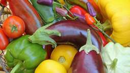 Η μεσογειακή διατροφή μπορεί να μειώσει τον κίνδυνο εγκεφαλικού έως και κατά 25% - Τι δείχνει μελέτη με ελληνική υπογραφή