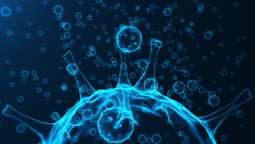 Τι έχει αλλάξει φέτος και γιατί μιλάμε για "υπεργρίπη": Ο ρόλος του νέου υποκλάδου Κ - Συναγερμός για την εορταστική περίοδο