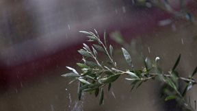 Καταρρακτώδεις βροχές πλήττουν Ιωάννινα και Θεσπρωτία - Κεραυνός έπεσε σε στέγη πολυκατοικίας