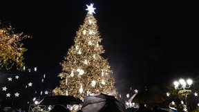 Φωταγωγήθηκε το χριστουγεννιάτικο δέντρο της Αθήνας