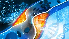 4 τρόποι να μειώσουμε φυσικά τη χοληστερόλη