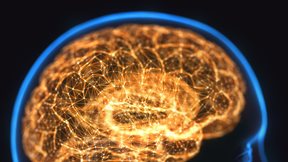 Χημικά σε προϊόντα οικιακής χρήσης συνδέονται με αυτισμό και σκλήρυνση κατά πλάκας