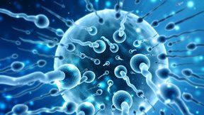 Ανδρική υπογονιμότητα: Όλες οι νέες γνώσεις και εξελίξεις