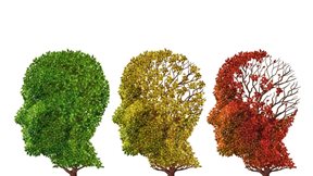 Τι κάνει τον εγκέφαλό μας να γερνάει πιο γρήγορα