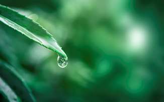 Το νερό στο… μικροσκόπιο