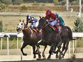 Ιπποδρομίες ΑΕ: Εξελίξεις σχετικά με τις ελληνικές ιπποδρομίες
