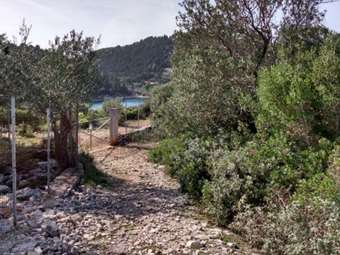 Βασίλης Γκρίσιν: Η άνοδος, η πτώση και η περιπέτεια με τους πλειστηριασμούς