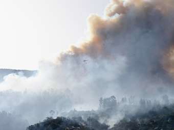 Περισσότερα από 3.430.000 στρέμματα έχουν καεί στην Ισπανία από την αρχή της χρονιάς